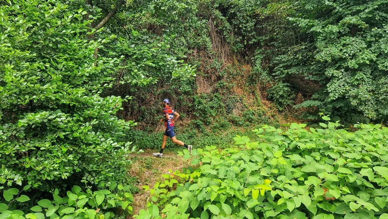 Trail T25 - La montée du Relais — Auzon
