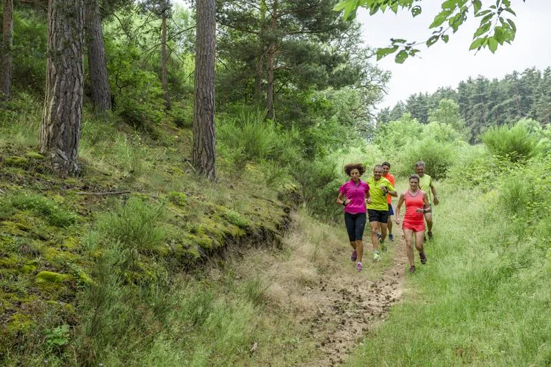 Trail T28 - Le Ruisseau de Rivoire — Aurec-sur-Loire