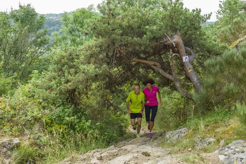 Trail T29 - Le Passe-Vite — Aurec-sur-Loire