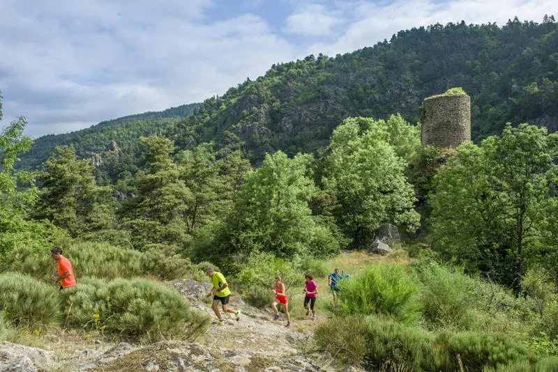 Trail T30 - Le Tour des Sucs — Aurec-sur-Loire