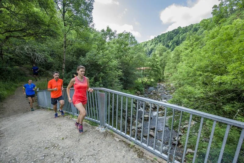 Trail T33 - Les onze ponts — Saint-Ferréol-d'Auroure