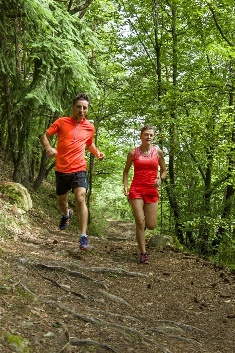 Trail T34 - La Gampille — Saint-Ferréol-d'Auroure