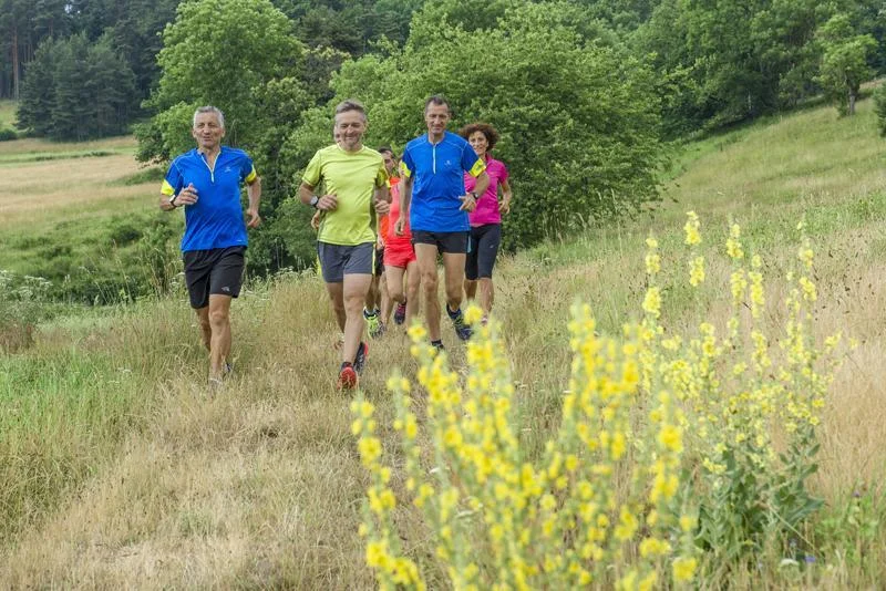 Trail T37 - La Papeterie — La Séauve-sur-Semène