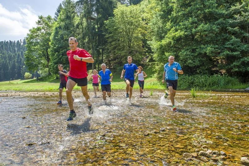 Trail T40 - Le Bois de Bramard — Saint-Didier-en-Velay