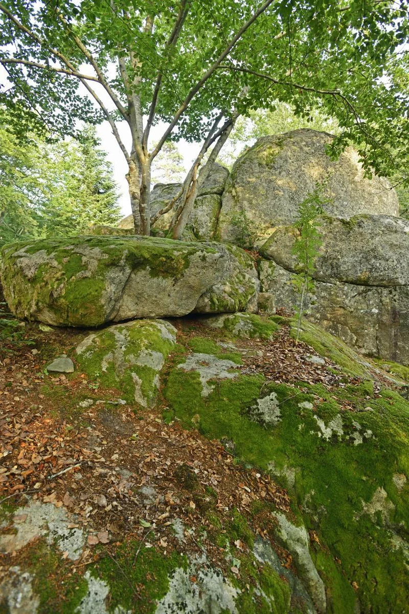 Trail T52 - La Roche Druidique — Tence