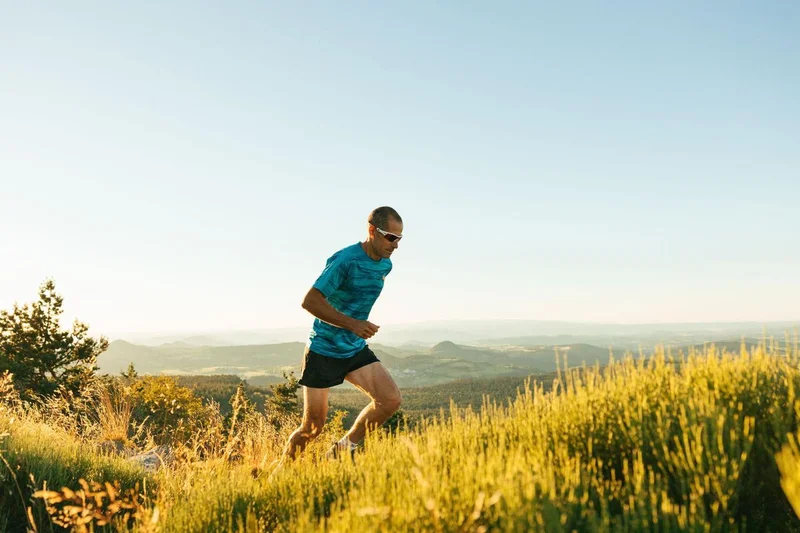 Trail T54 - Le Pic du Lizieux — Tence