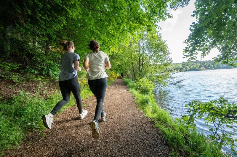 Trail T55 - Au coeur du cratère — Cayres
