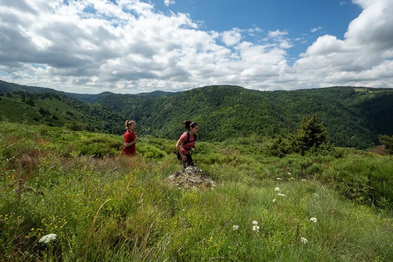 Trail T57 - Le tour du mont Farnier — Cayres