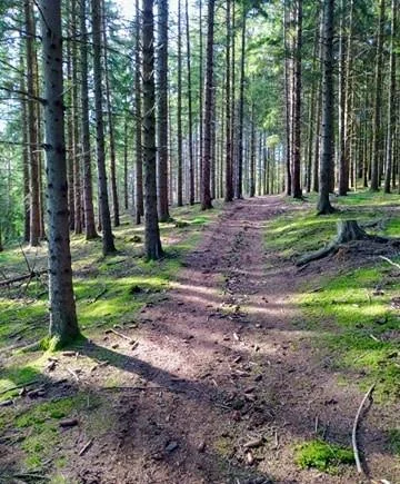 Trail T72 - Château de Beaudinet — Saint-Bonnet-le-Froid