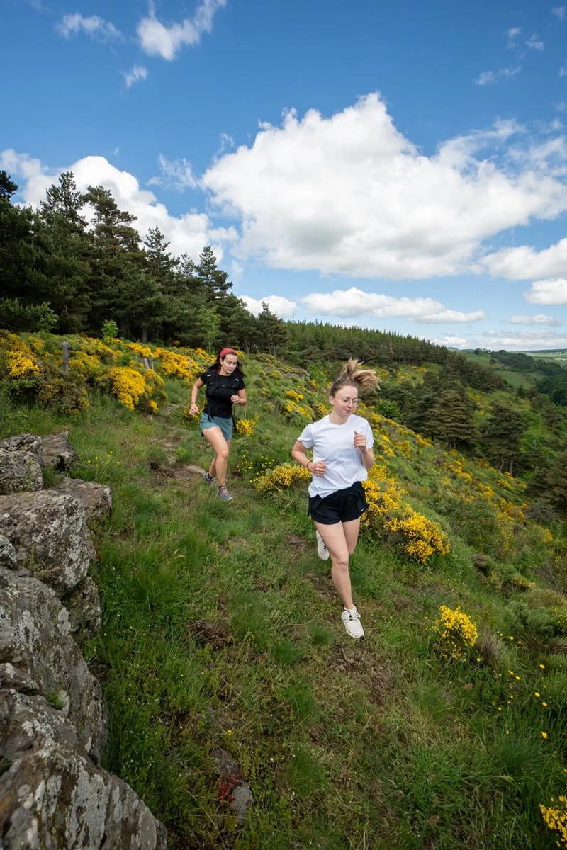 Trail T08 - Le Testavoyre — Queyrières