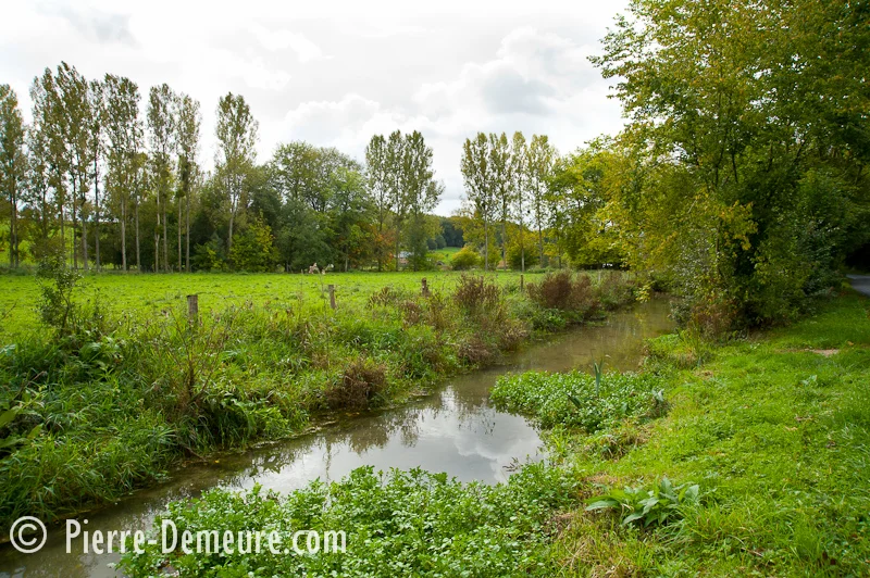 Randonnée Le circuit de l'eau — Saint-Germain-des-Essourts