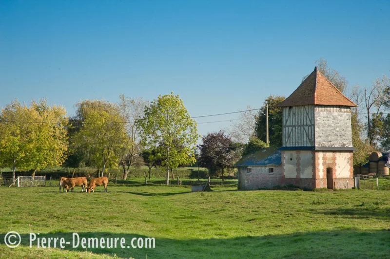 Randonnée Le dîmage — Auzouville-sur-Ry