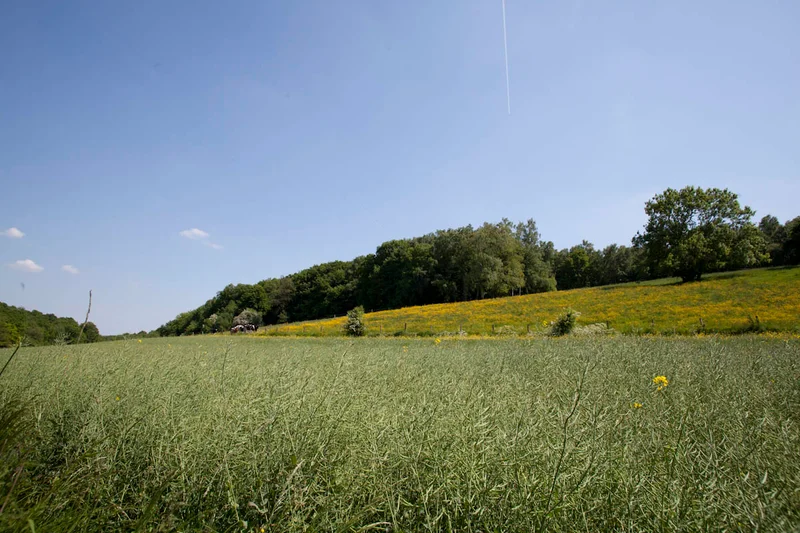 Randonnée Le chemin des écoliers — Grainville-sur-Ry