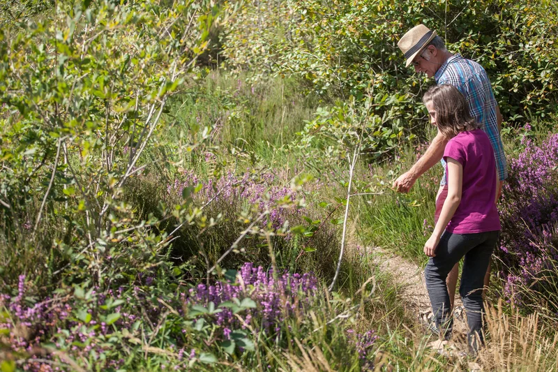 Randonnée Sentier nature - Le camp des Romains — Cinais