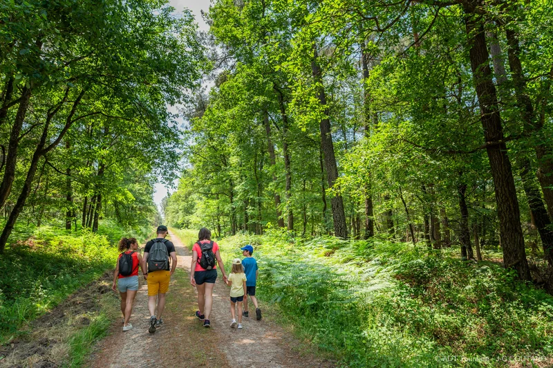 Randonnée Sentier pédestre de Huismes - Circuit N°1 — Huismes