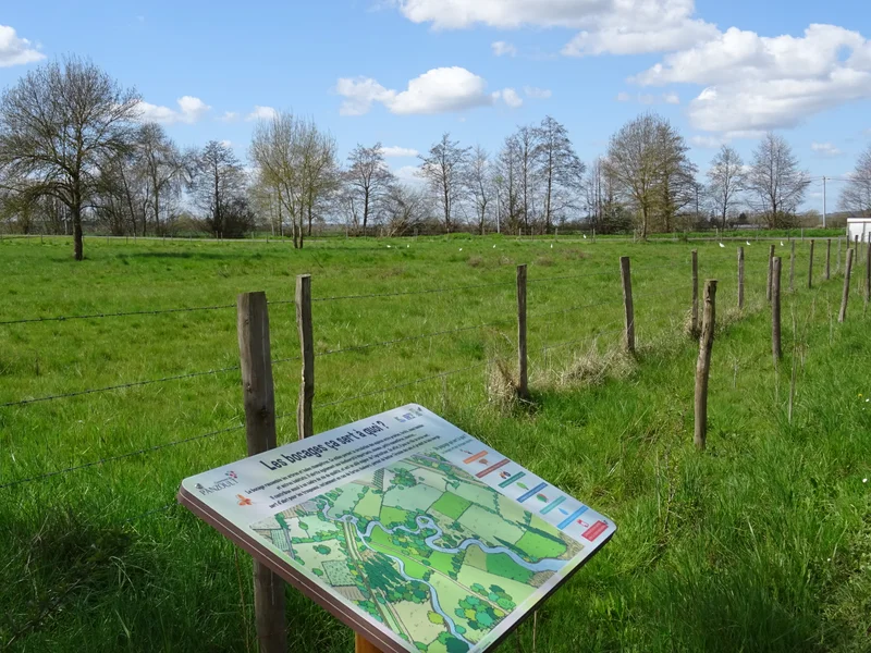 Randonnée La promenade de la zone humide de Panzoult · Panzoult