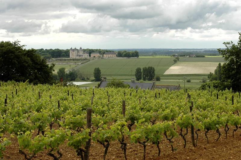 Randonnée Seuilly — Seuilly
