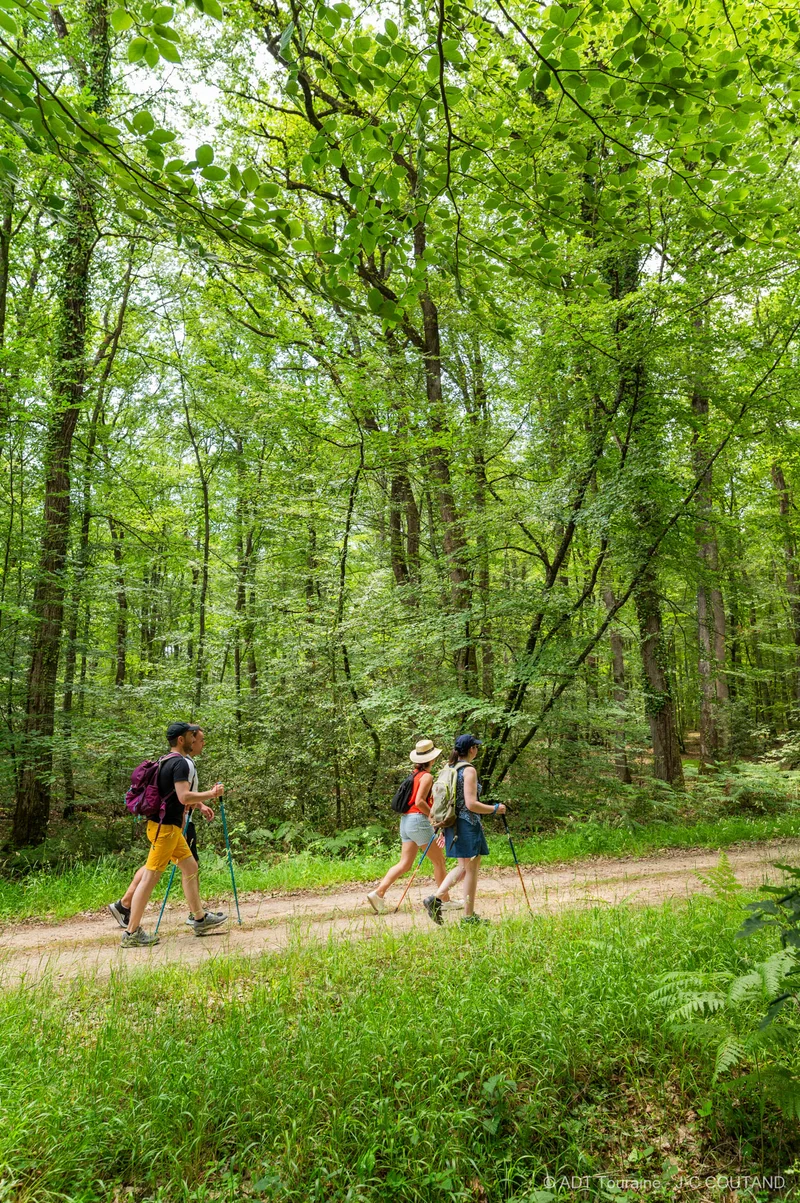 Randonnée Saint-Benoît-la-Forêt - N°1 — Saint-Benoît-la-Forêt