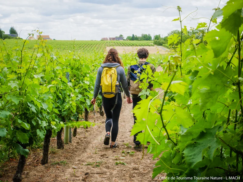 Randonnée Benais : De verts coteaux au blanc tuffeau — Benais