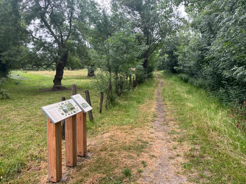 Randonnée Sentier nature de la "Grande Île" — Saint-Rémy-la-Varenne