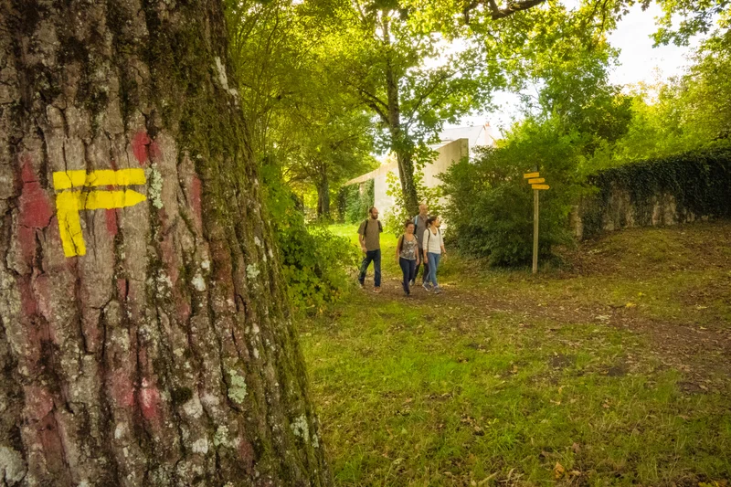 Randonnée Savigné-sur-Lathan : Falun pour l'autre · Savigné-sur-Lathan