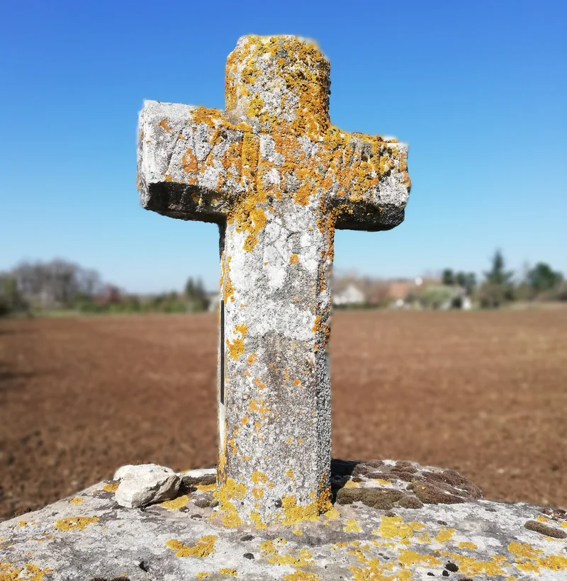 Randonnée La Croix de l'Apothicaresse — Truyes