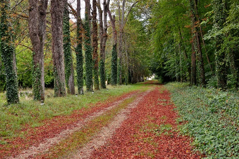 Randonnée Circuit de randonnée : Vernantes — Vernantes