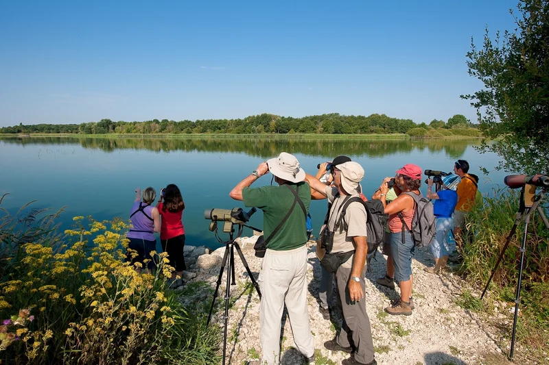 Randonnée Le lac de Rillé — Rillé