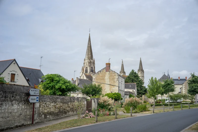 Randonnée Le Puy-Notre-Dame et son vignoble — Chavannes