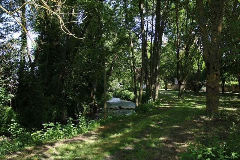 Randonnée Sentier nature du Couasnon — Beaufort-en-Anjou