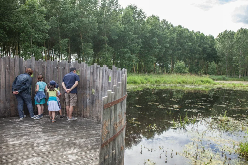 Randonnée Sentier nature du marais de Baffou (0) — Brézé