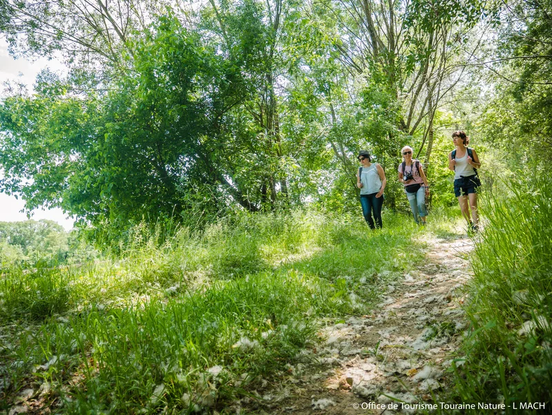Randonnée Chemin de l'été de Saint-Martin : étape de Port Boulet à Saint Patrice — Chouzé-sur-Loire