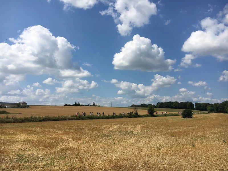 Randonnée Randonnée Faye-la-Vineuse — Faye-la-Vineuse