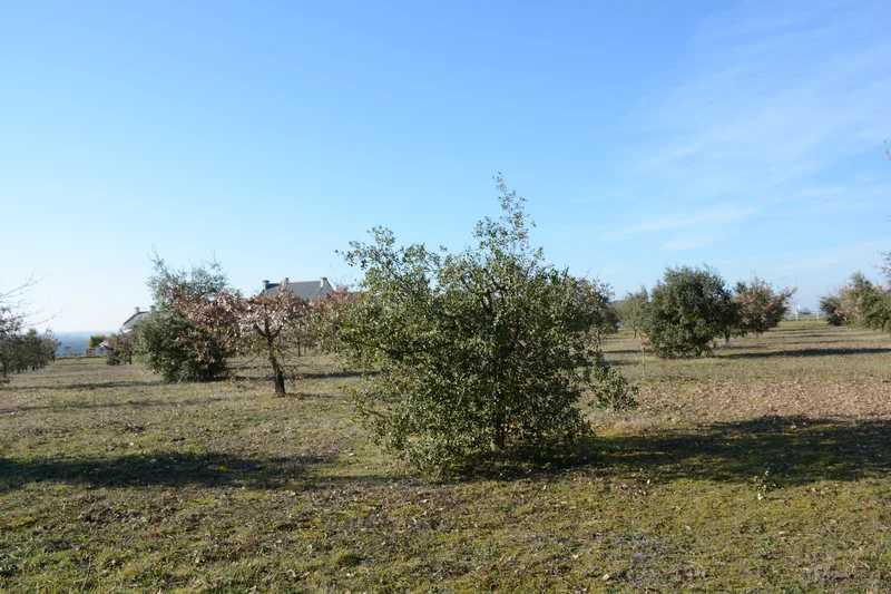 Randonnée Entre ruisseaux et truffières — Marigny-Marmande