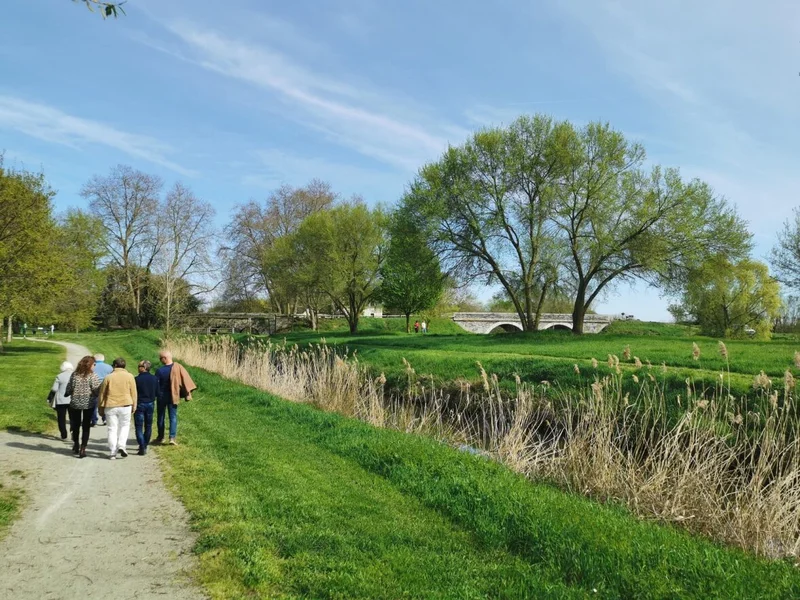 Randonnée Entre rivière et forêt - Corné — Corné