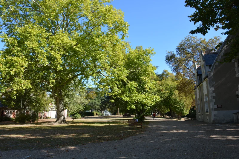 Randonnée À l'ombre des chênes centenaires — Monts