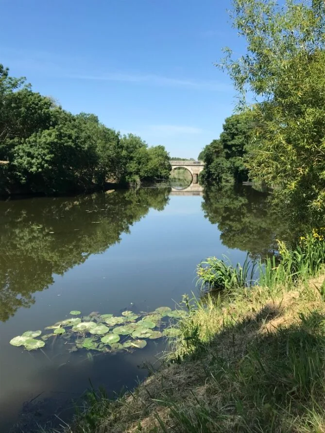 Randonnée Autour des marais et des canaux - Brain-sur-l'Authion — Loire-Authion