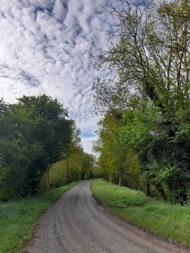 Randonnée Les près des Illons - Corné — Corné