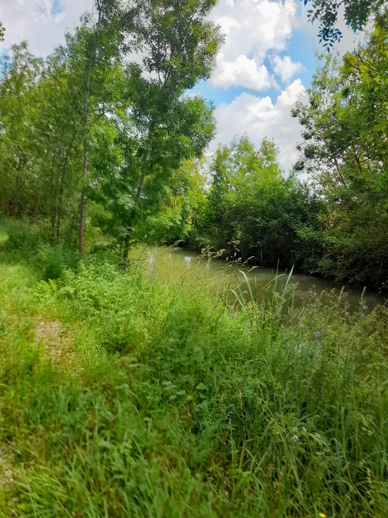 Randonnée Entre marais et ardoises - Brain-sur-l'Authion — Loire-Authion