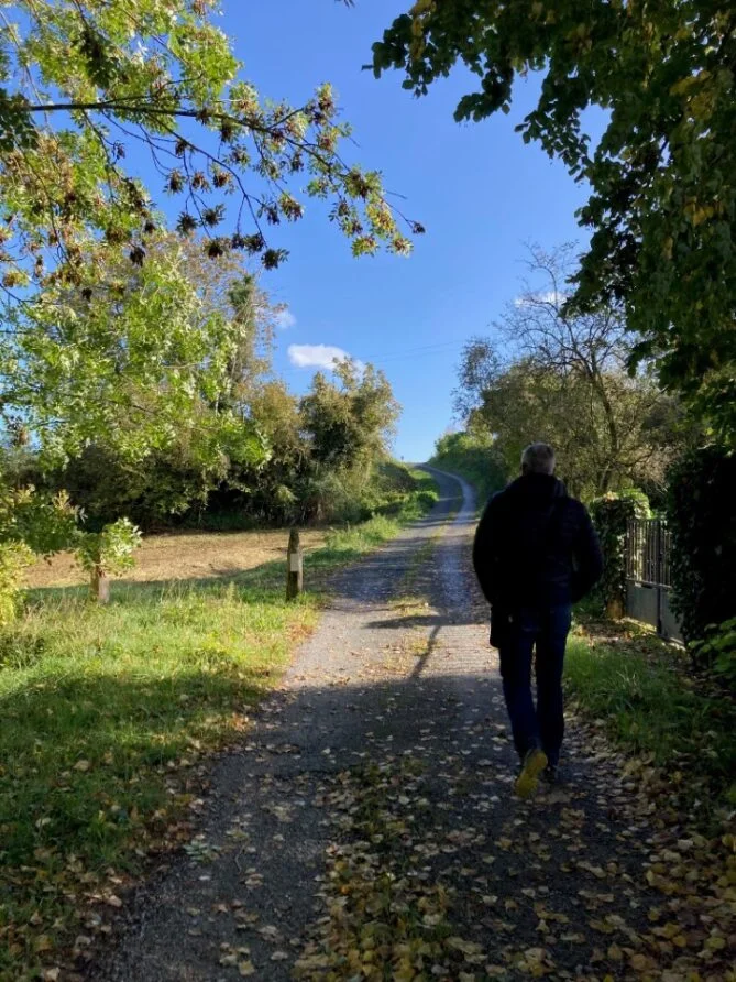 Randonnée La ronde des arbres - Bauné — Loire-Authion