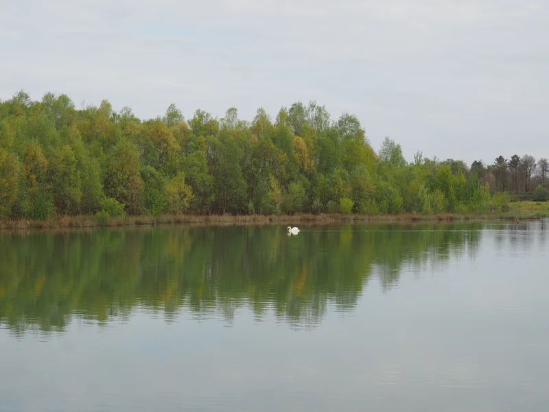 Randonnée Sentier ornithologique de l'étang des Monteaux — Vivy