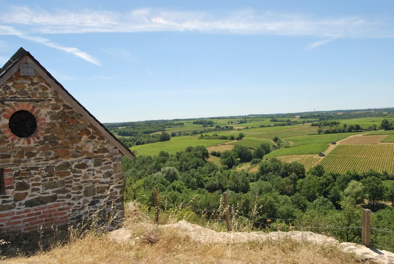 Randonnée LPO - Réserve Naturelle Régional - Beaulieu-sur-Layon — Beaulieu-sur-Layon
