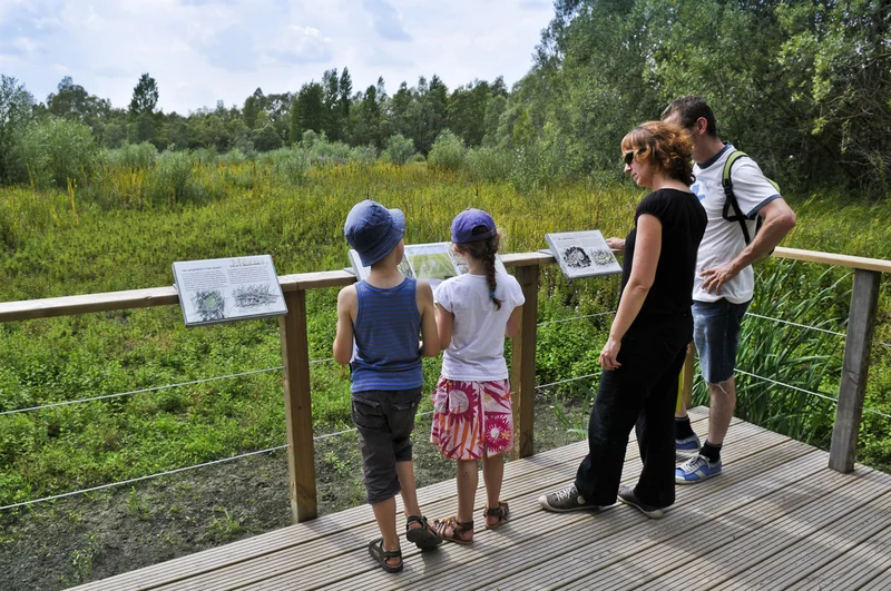 Randonnée Sentier nature du Marais des Prés d'Amont — Loire-Authion