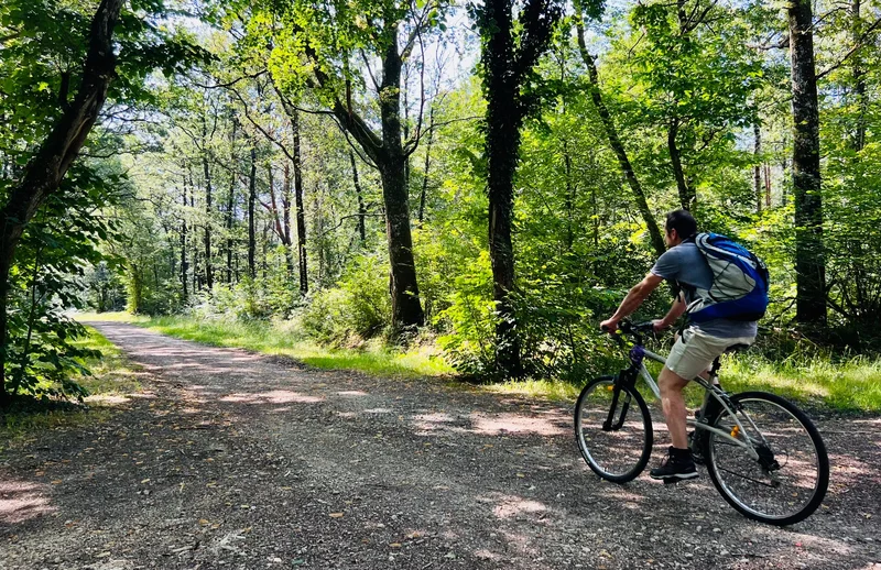 Vélo de route Boucle Vélo N°13 — Longué-Jumelles