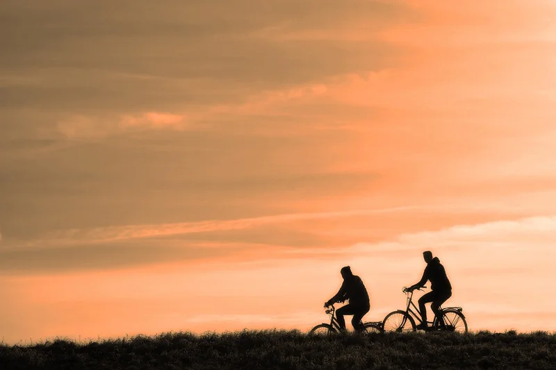 Vélo de route Entre Chinon et Candes-Saint-Martin - Circuit 38 — Savigny-en-Véron