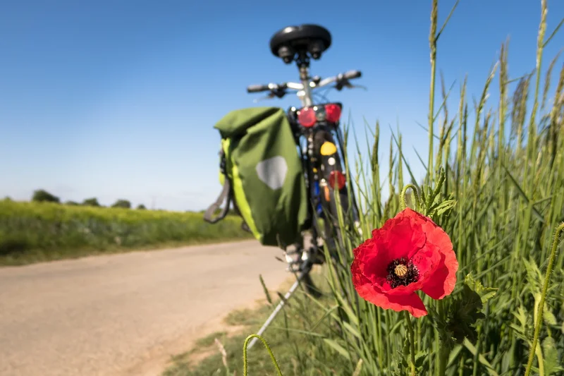 Vélo de route Entre Chinon et la vallée de la Vienne — Cravant-les-Côteaux