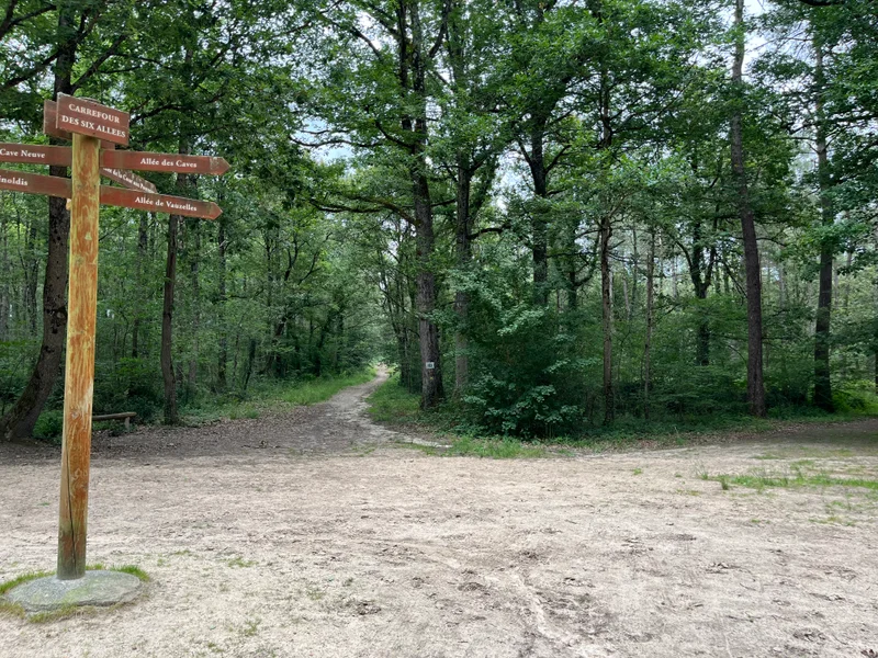 Vélo de route Circuit Gravel N°4 -Brain-sur-Allonnes — Brain-sur-Allonnes