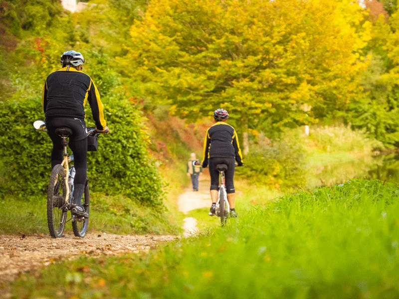 Vélo de route Entre forêt et château - Circuit vélo n°24 — Gizeux
