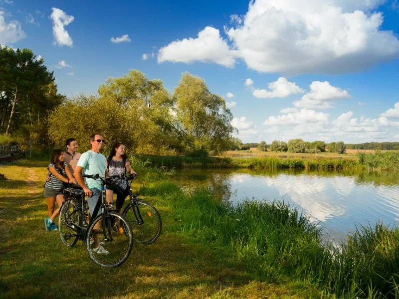 Vélo de route Nature sauvage ou maîtrisée - Circuit vélo n°26 — Rillé