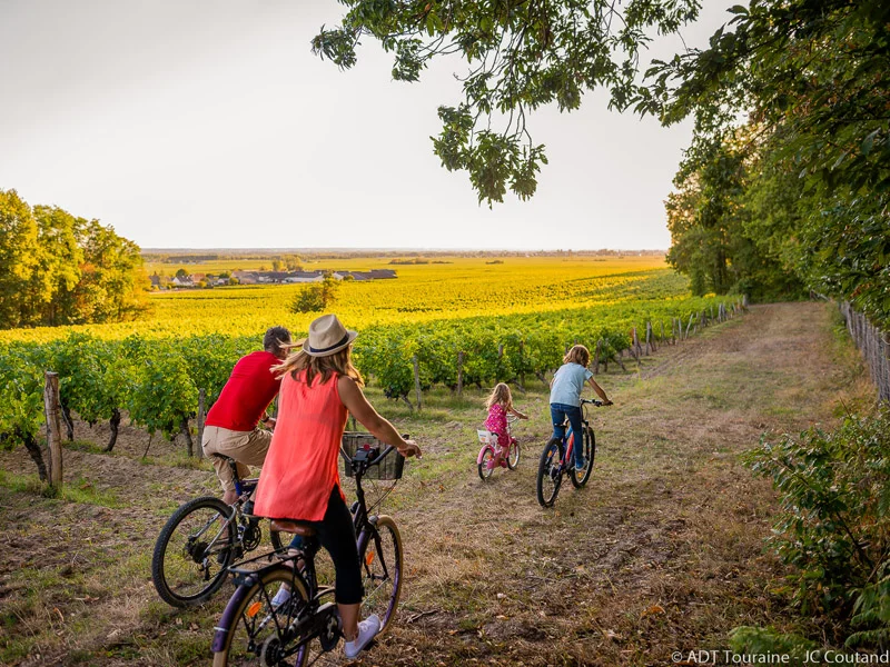 Vélo de route Grands crus et belles demeures - Circuit vélo n°23 — Bourgueil